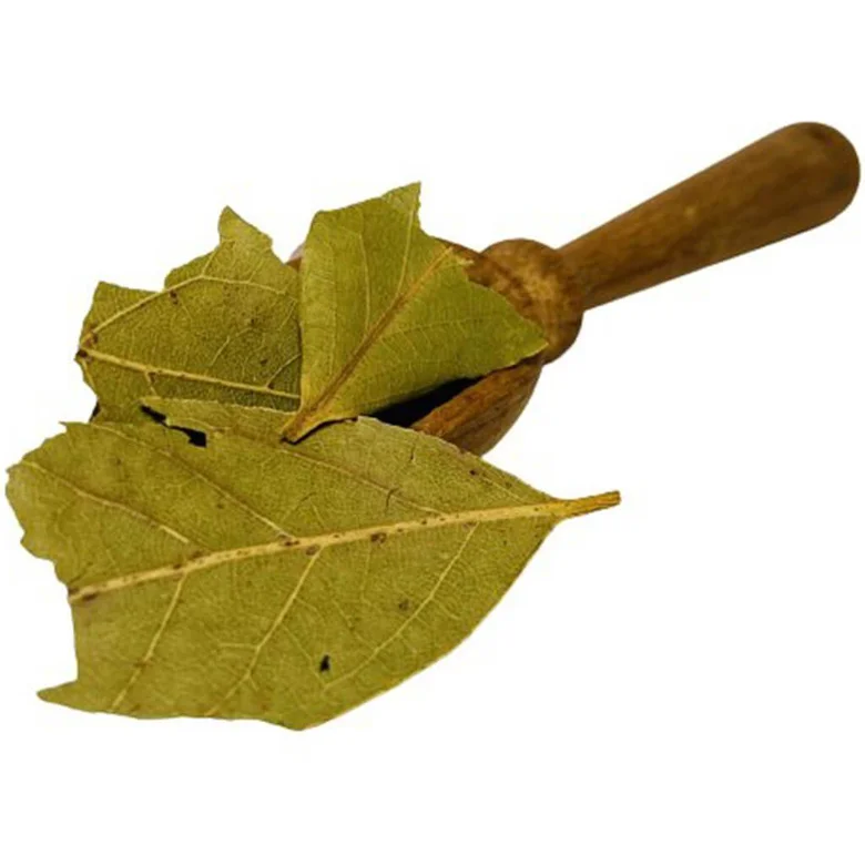 Sušené listy bobkového v kuchynském mlecím nástroji.