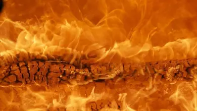 Burning firewood log